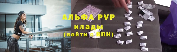 крисы Алексин