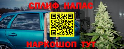 спиды Будённовск