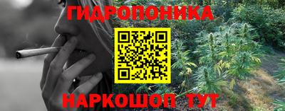 спиды Будённовск