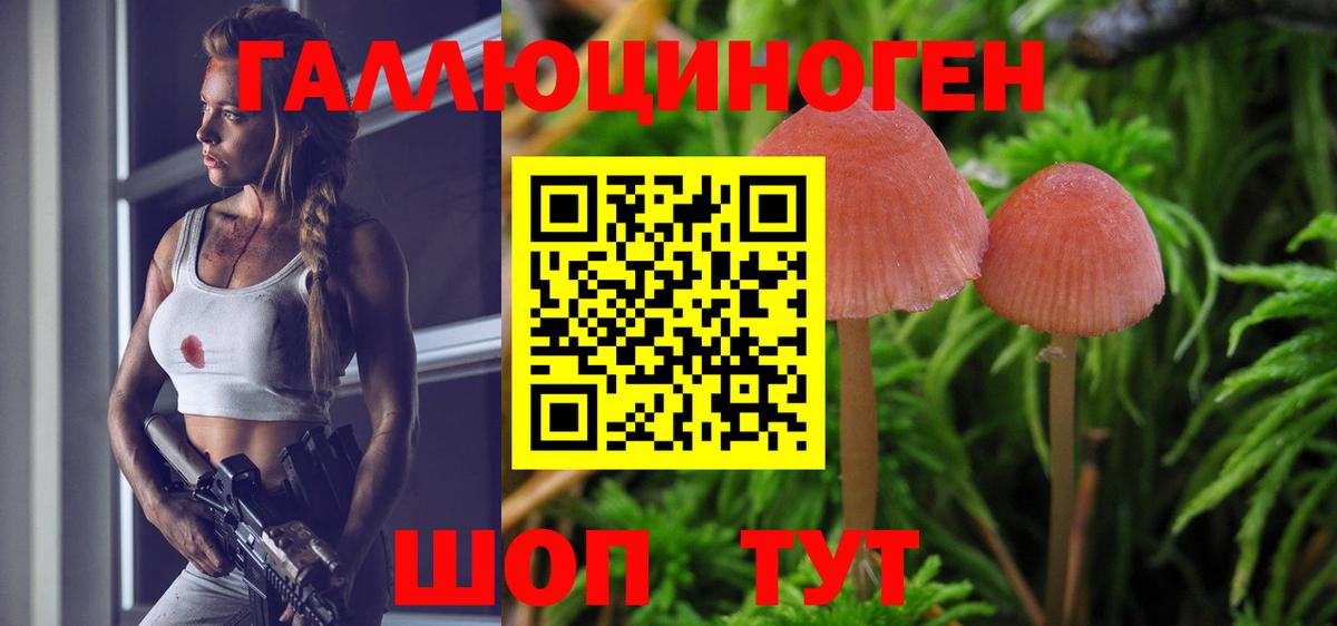Галлюциногенные грибы Psilocybine cubensis Белореченск